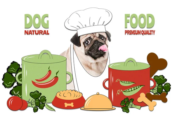 Concetto di cibo naturale e premium per cani, cibo sano per animali domestici . — Foto Stock