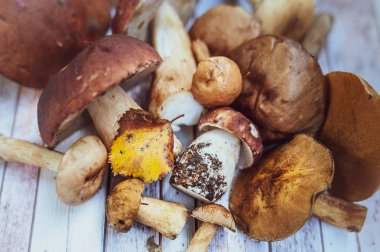 Masada mantar, sonbahar, mantar arka plan, porcini ve