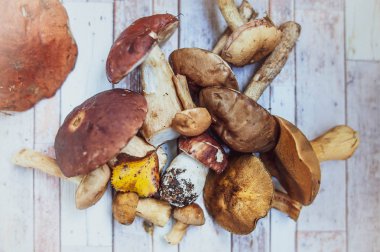 Masada Mantarlar, düz yatıyordu, sonbahar, mantar arka plan t