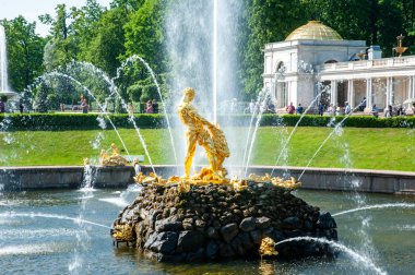 Peterhof, Saint Petersburg, Rusya - 06 Haziran 2019: Samson Foun