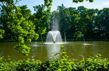 Peterhof, Saint Petersburg, Rusya - 06 Haziran 2019: Çeşmeler i