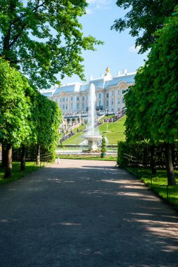 Peterhof, Saint Petersburg, Rusya - 06 Haziran 2019: Grand Cascad