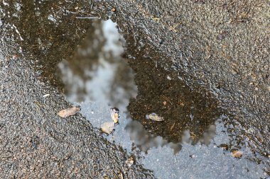 Sonbahar ve yağmurlu hava teması. Ayna su birikintileri ve sonbahar folia