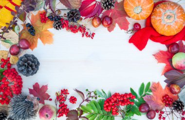 Akçaağaç yaprakları, elma ve kabak ile Sonbahar arka plan, mounta