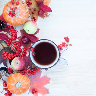 Akçaağaç yaprakları, elma ve kabak ile Sonbahar arka plan, mounta