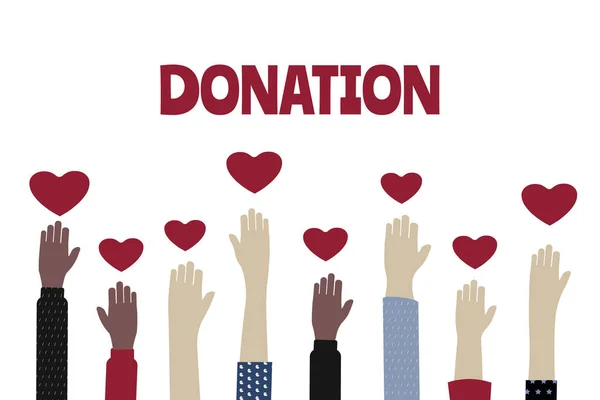 Volontario Carità Donazione Piatta Vettoriale Illustrazione Carità Promozione Aiuto Sociale — Vettoriale Stock