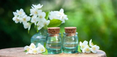 Esasen Yasemin yağı. Yasemin yağlı şişeler, taze çiçekler ve doğal yeşil arka planda yapraklar.