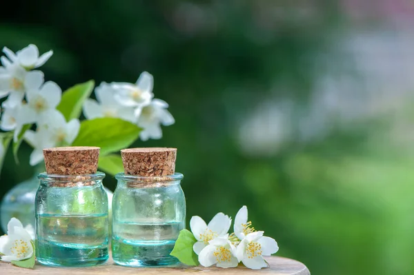 Essential Jasmine oil.  Bottles with Jasmine oil,  Fresh flowers and  leaves on a natural green background