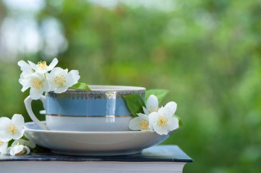 Bir fincan çay, kitap ve Yasemin çiçeklerinin güzel yaz kompozisyonu doğal yeşil arka planda, bir günaydın, yaz havası, mutluluk konsepti