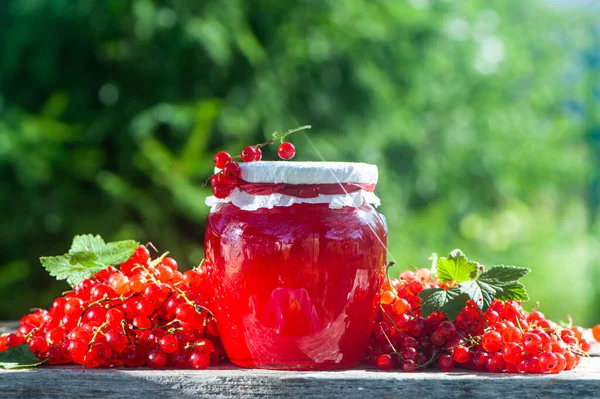 Bayas Rojas Jugosas Grosellas Rojas Frascos Mermelada Bayas Sobre Una — Foto de Stock