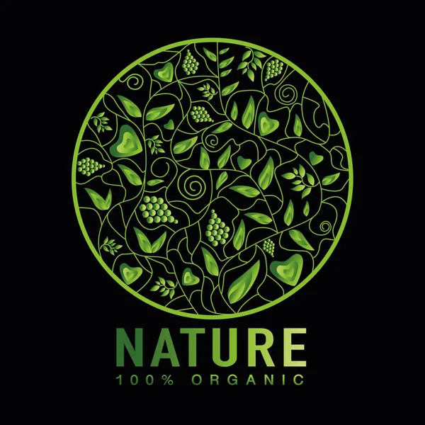 Vector Abstract Green Nature Logo Design Emblems Holistic Medicine Centers — Stock Vector