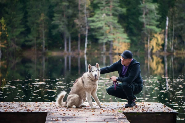 Człowiek Husky Pies Molo Pięknego Jeziora Nastrój Jesienny Młody Człowiek — Zdjęcie stockowe