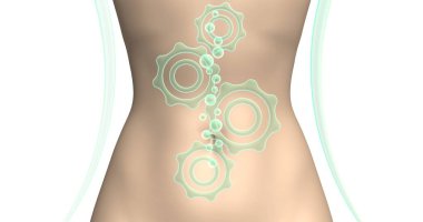 Green setup icons mechanism and bubbles on the background of the flat stomach. 3d illustration. Advertising of natural supplements for weight loss, accelerating the digestive process or improving the functioning of the stomach.