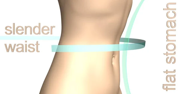 Thin female waistline as a result of weight loss, exercise and balanced nutrition. Illustrated slim female body with inscription \