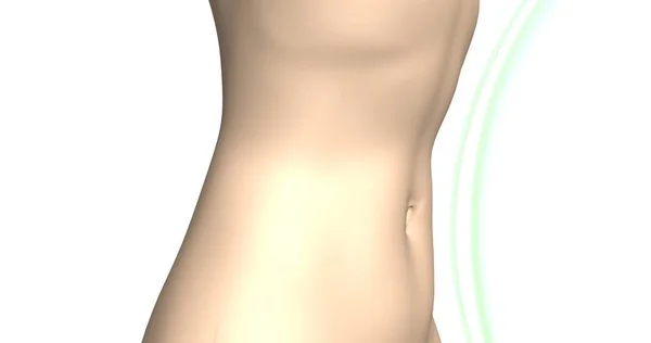 Mükemmel fit vücut kavram. Güçlü kasları karın. Kadın ince bel 3d render illüstrasyon.