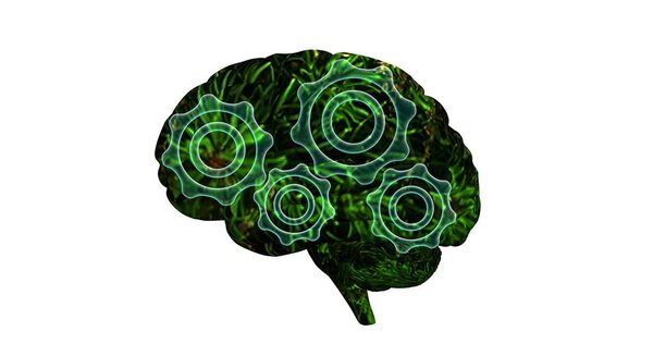 Brain mechanism. Render illustration isolated on white background.