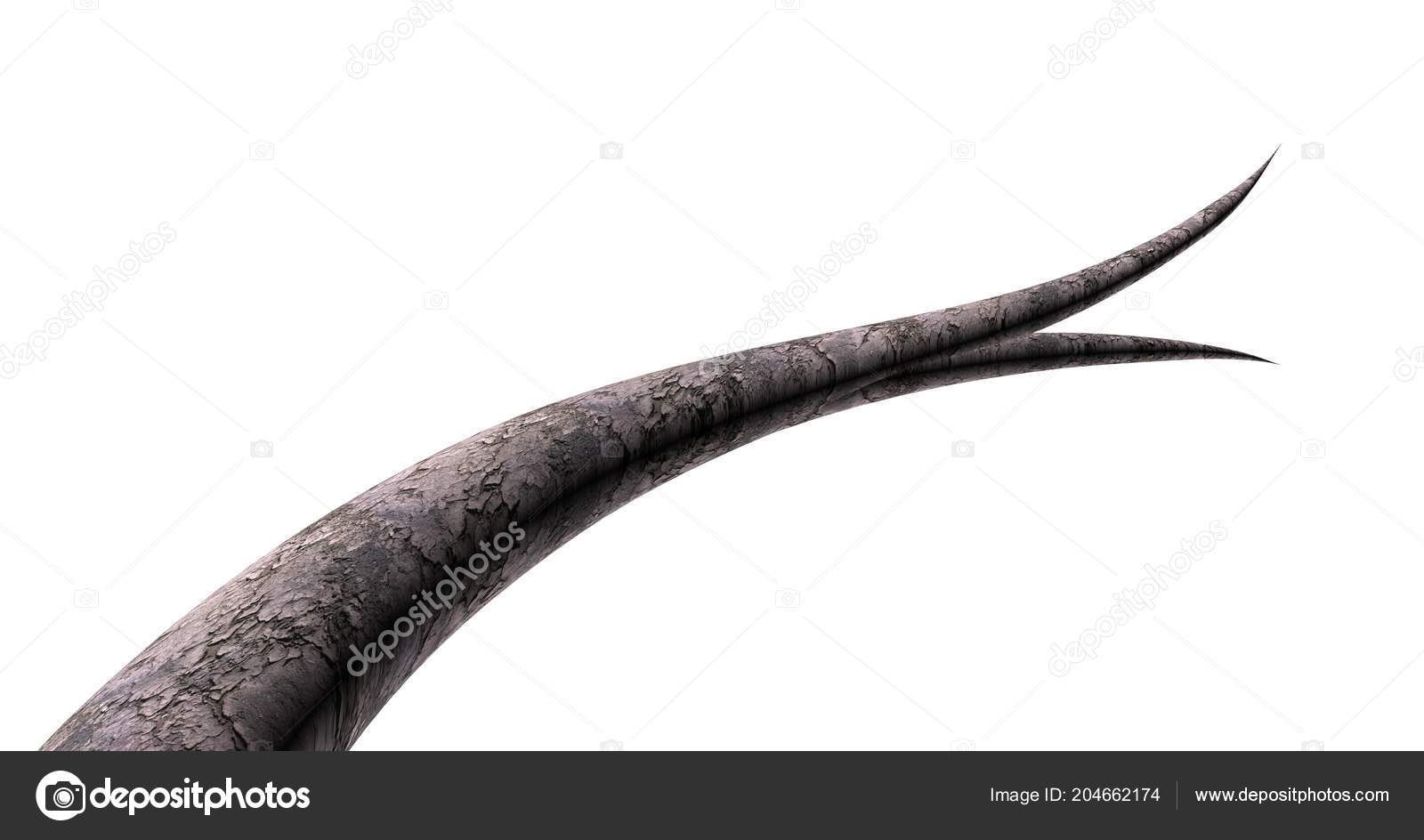 Pictures Split End Dry Damaged Hair Split End Render Stock