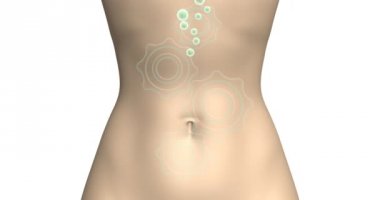 Launch of the digestive mechanism. Animated video footage for the promotion of natural dietary supplements that improve digestion, laxatives, and weight loss products.