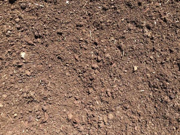 Braune Bodenbeschaffenheit Hintergrund Draufsicht Auf Eine Dunkle Bodenoberfläche Nahaufnahme Von — Stockfoto