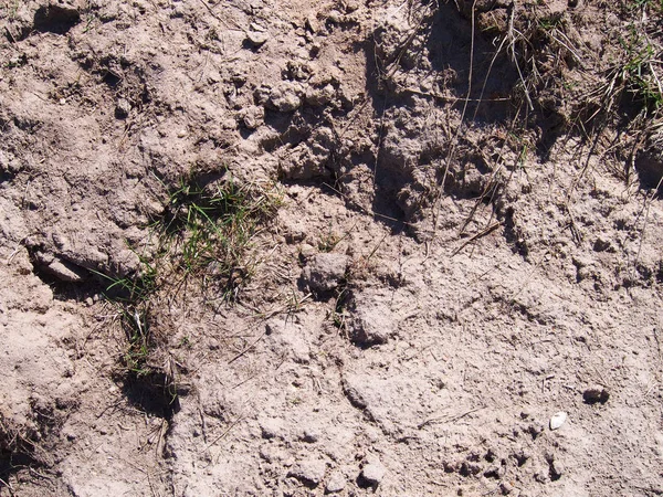 Bruin Bodem Textuur Achtergrond Met Sporen Een Bos Van Gras — Stockfoto