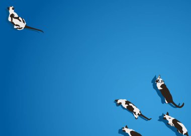 Siyam kedisi Mavi degrade arka plan üzerinde. Düz stil görüntü gölge ile. Komik hayvanlar yürüme. Vektör çizim. Evde beslenen hayvan karikatür duvar kağıdı. Üstten görünüm zemin.