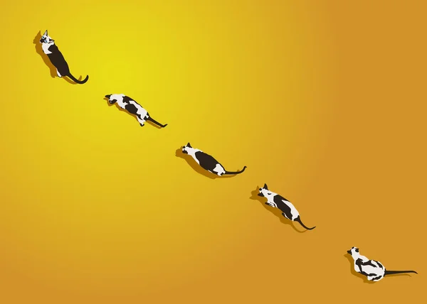 暹罗猫在黄色梯度背景 带阴影的平面样式图像 有趣的动物走路 矢量插图 宠物卡通壁纸 顶部视图背景 — 图库矢量图片