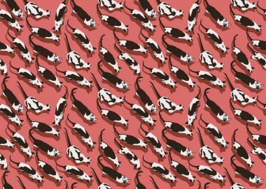 Siyam kedi Dikişsiz desen yoğun somon sarma