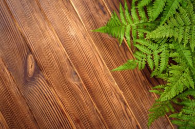 kopya alanı kahverengi meşe ahşap zemin üzerine yeşil eğreltiotu yaprakları