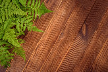 kopya alanı kahverengi meşe ahşap zemin üzerine yeşil eğreltiotu yaprakları