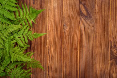 kopya alanı kahverengi meşe ahşap zemin üzerine yeşil eğreltiotu yaprakları