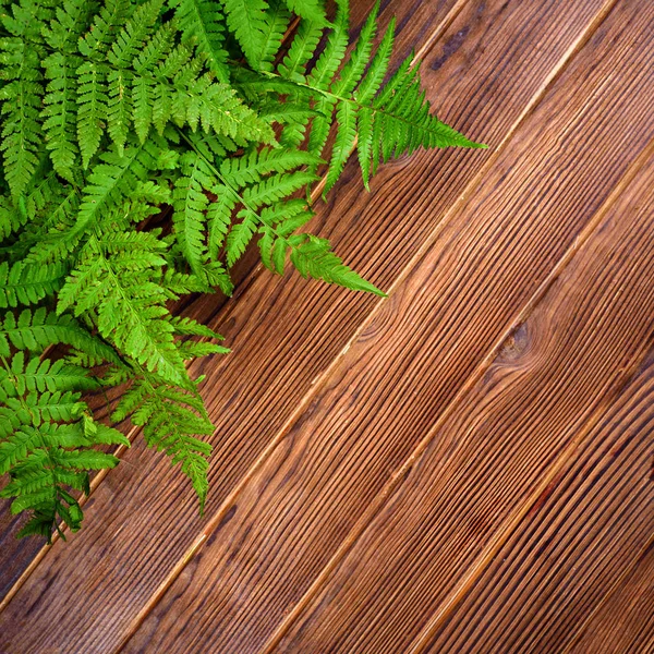 Green fern leaves on brown oak wood background with copy space — Stock Photo, Image