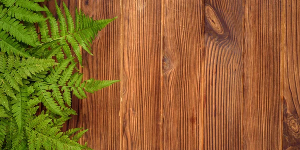 Foglie di felce verde su sfondo di legno di quercia marrone con spazio copia — Foto Stock