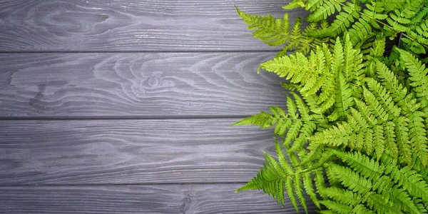 Feuilles de fougère verte sur fond bois de chêne gris avec espace de copie — Photo