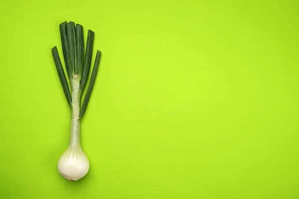 Onion on green background, top view on green background — Stock Photo, Image