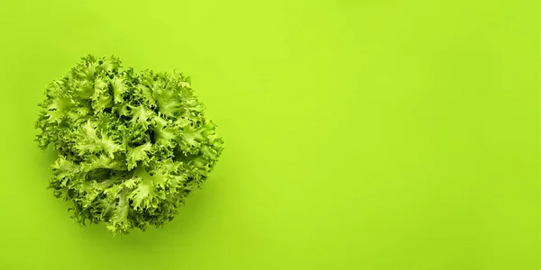 Vegetales Verdes Concepto Laico Plano Ensalada Lechuga Sobre Fondo Verde — Foto de Stock