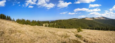 Carpatian dağlar yaz manzaralar, geniş panorama