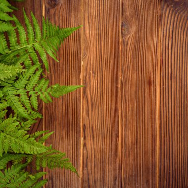 kopya alanı kahverengi meşe ahşap zemin üzerine yeşil eğreltiotu yaprakları