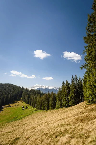 Paysages de montagnes carpatiennes, vieille maison en forêt — Photo