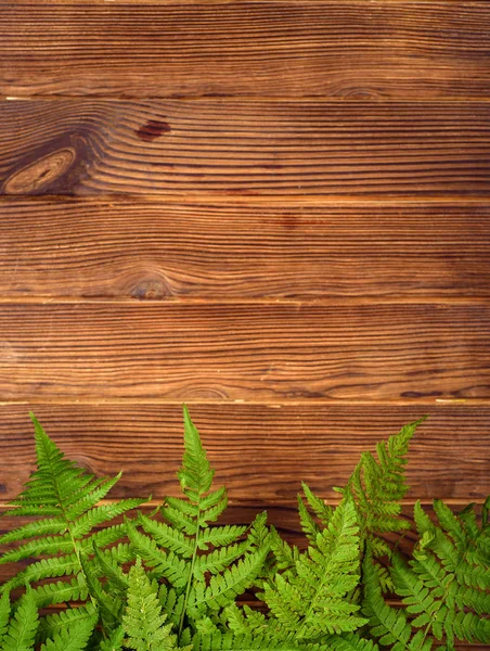 Foglie di felce verde su sfondo di legno di quercia marrone con spazio copia — Foto Stock