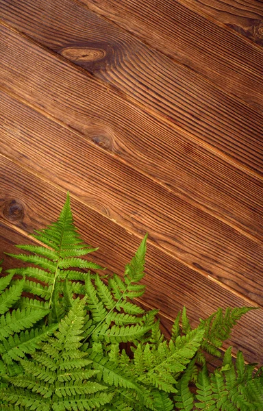 Feuilles de fougère verte sur fond bois de chêne brun avec espace de copie — Photo