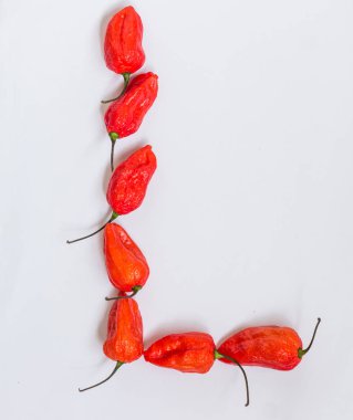 L harfi alfabesi ile hayalet biber Bhoot jolokia beyaz arka plan üzerinde yapılan