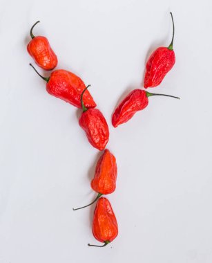 Y harfi alfabesi ile hayalet biber Bhoot jolokia beyaz arka plan üzerinde yapılan