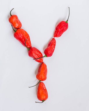 Y harfi alfabesi ile hayalet biber Bhoot jolokia beyaz arka plan üzerinde yapılan