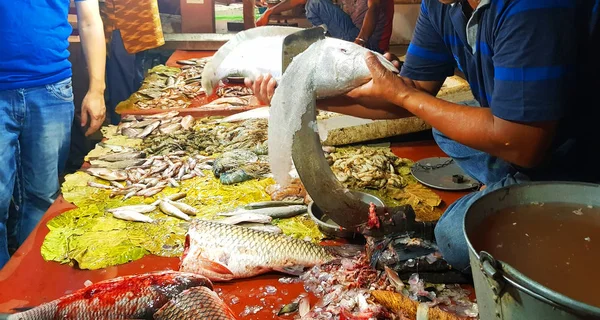 Prodávající Fishmarket Odvápnění Chitala Ryby Ramdao Čepelí — Stock fotografie