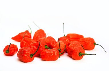 Kırmızı Bhoot Jolokia baharatlı hayalet demet izole beyaz arka plan metin için yer ile biber