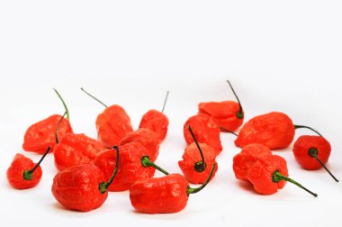 Kırmızı Bhoot Jolokia baharatlı hayalet demet izole beyaz arka plan metin için yer ile biber