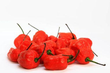 Kırmızı Bhoot Jolokia baharatlı hayalet demet izole beyaz arka plan metin için yer ile biber