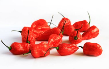 Kırmızı Bhoot Jolokia baharatlı hayalet demet izole beyaz arka plan metin için yer ile biber