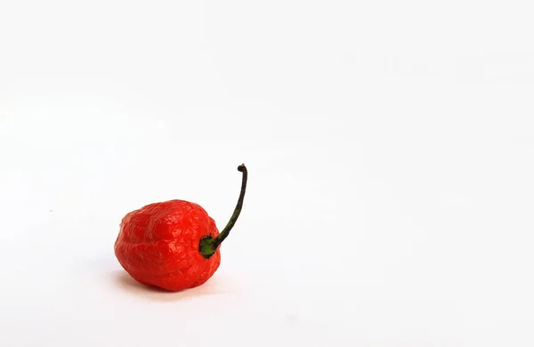 Egy Piros Bhoot Jolokia Fűszeres Ghost Elszigetelt Fehér Háttér Szöveg — Stock Fotó