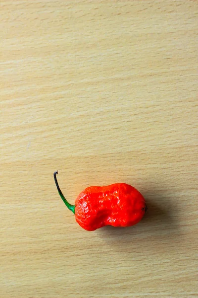 Jedna Červená Bhoot Jolokia Pikantní Paprika Ghost Izolované Dřevěné Pozadí — Stock fotografie